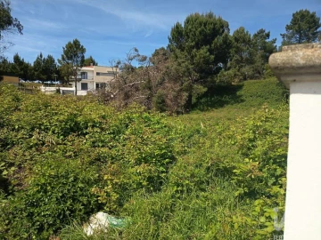Terreno para Venda em Rio Maior