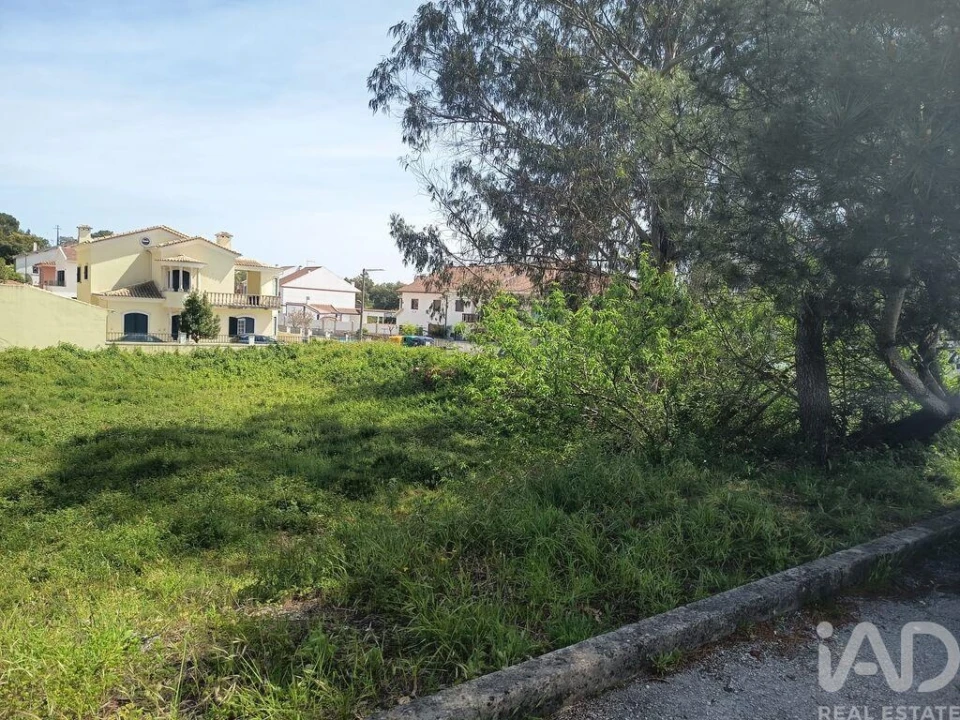 Terreno para Venda em Rio Maior Foto 11