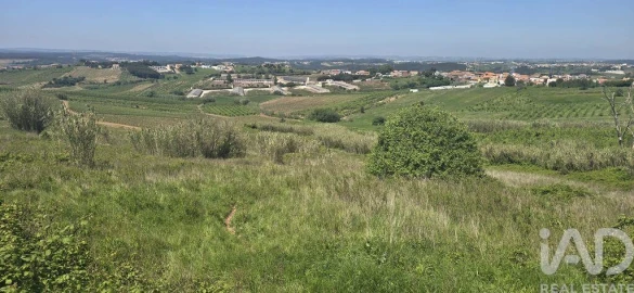 Terreno para Venda em Vilar