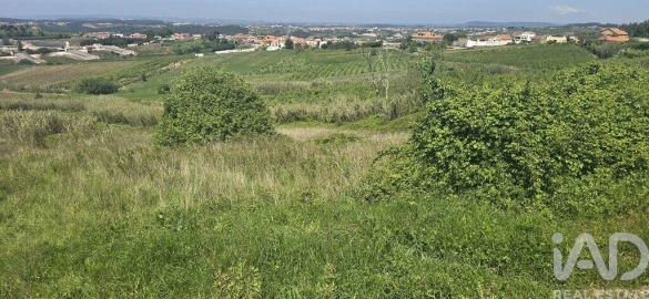 Terreno para Venda em Vilar