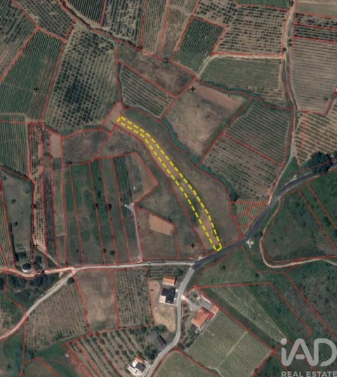 Terreno para Venda em Vilar