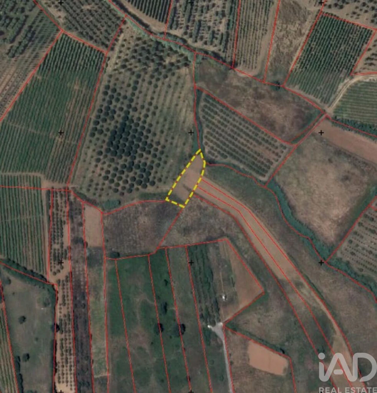 Terreno para Venda em Vilar Foto 8