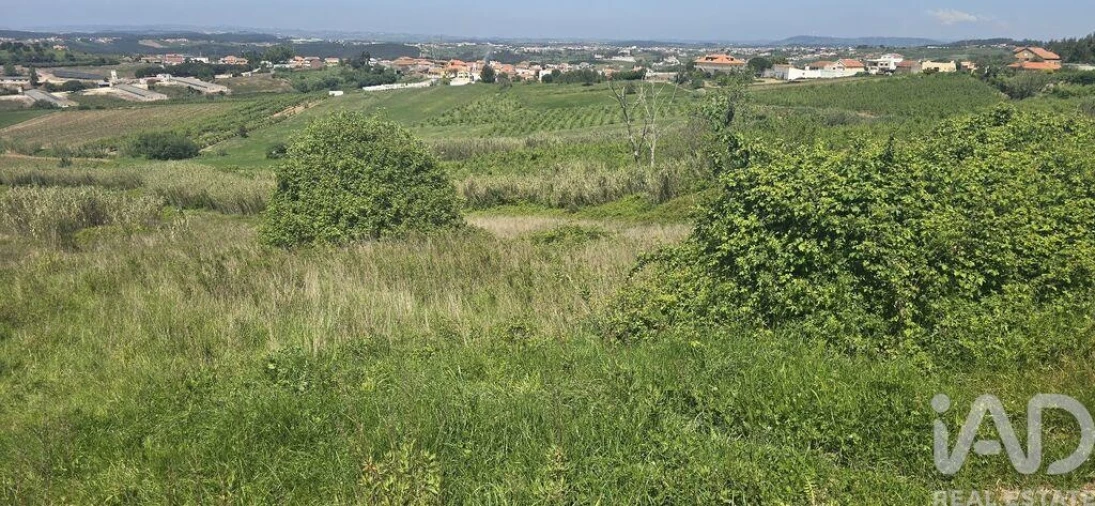 Terreno para Venda em Vilar Foto 4