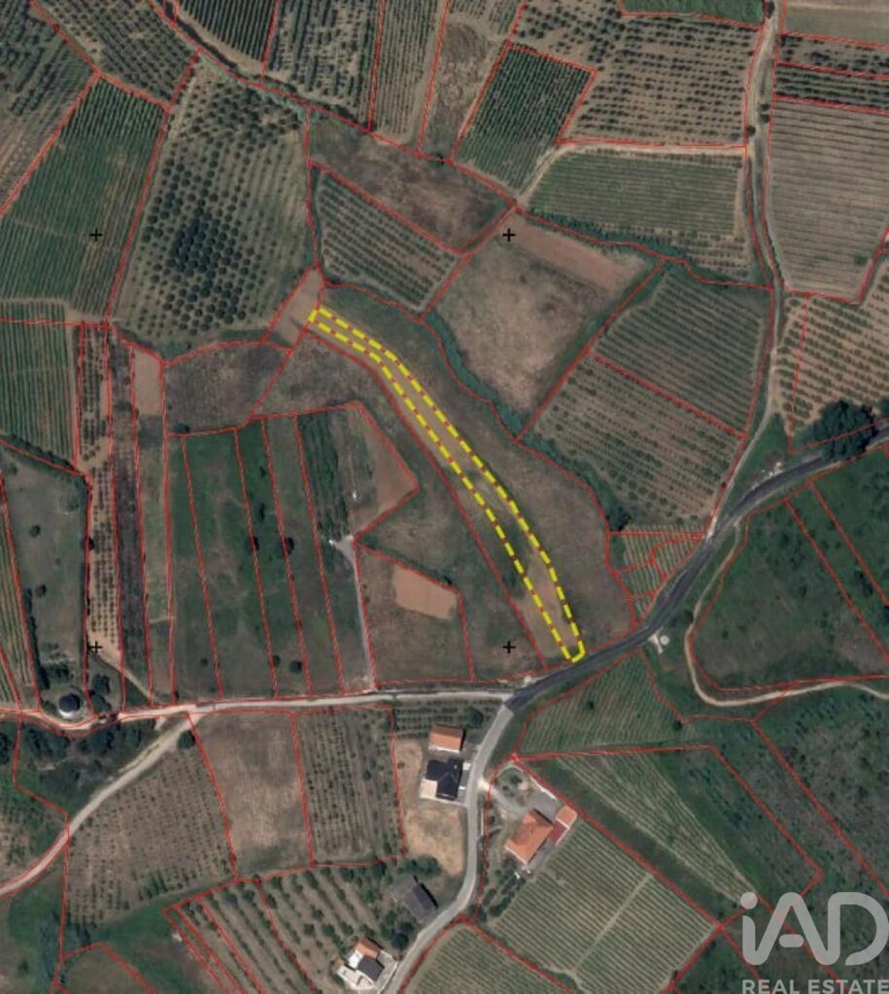 Terreno para Venda em Vilar Foto 7