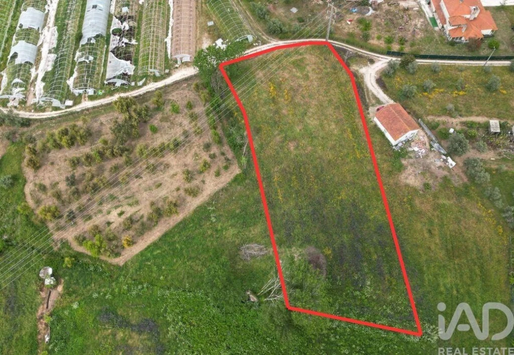 Terreno para Venda em Arrimal e Mendiga Foto 1