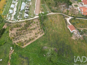 Terreno para Venda em Arrimal e Mendiga