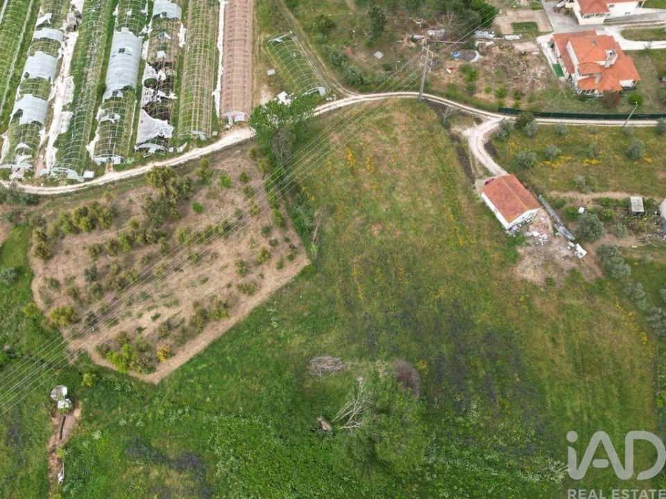 Terreno para Venda em Arrimal e Mendiga Foto 2