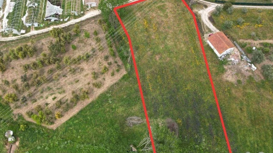 Terreno para Venda em Arrimal e Mendiga