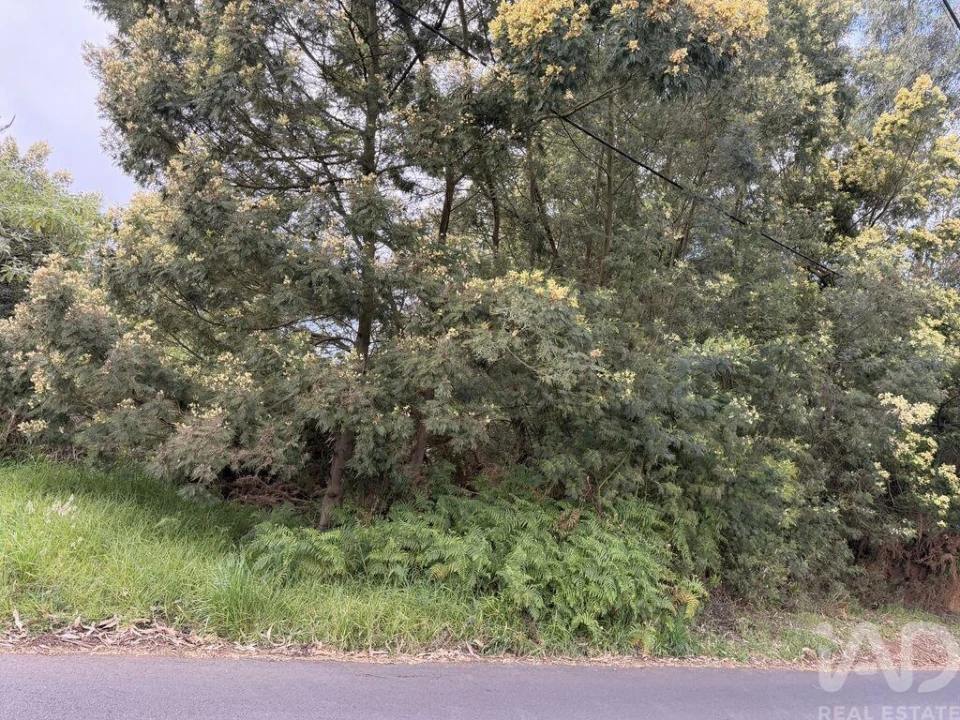 Terreno para Venda em Santa Cruz Foto 1