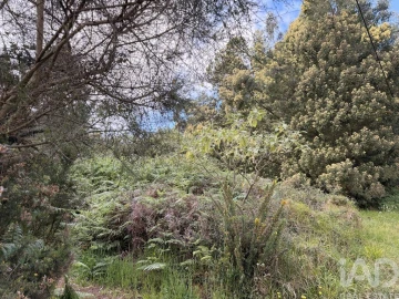 Terreno para Venda em Santa Cruz