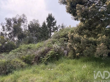 Terreno para Venda em Santa Cruz