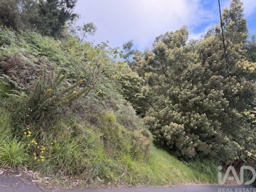 Terreno para Venda em Santa Cruz