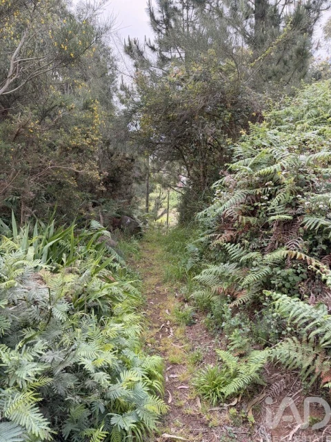 Terreno para Venda em Santa Cruz