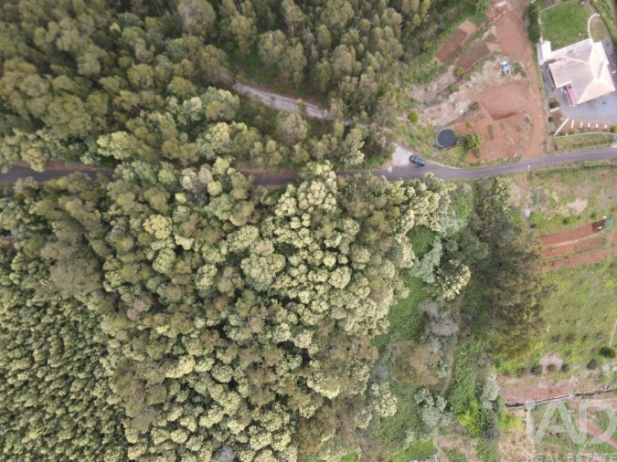 Terreno para Venda em Santa Cruz Foto 14