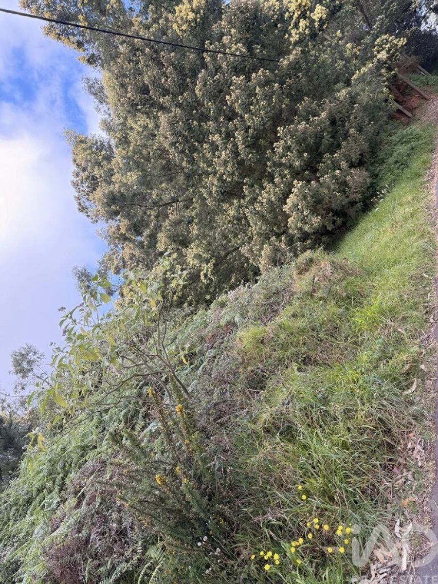 Terreno para Venda em Santa Cruz Foto 10