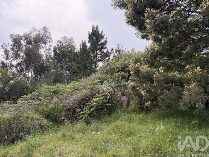 Terreno para Venda em Santa Cruz Foto 6