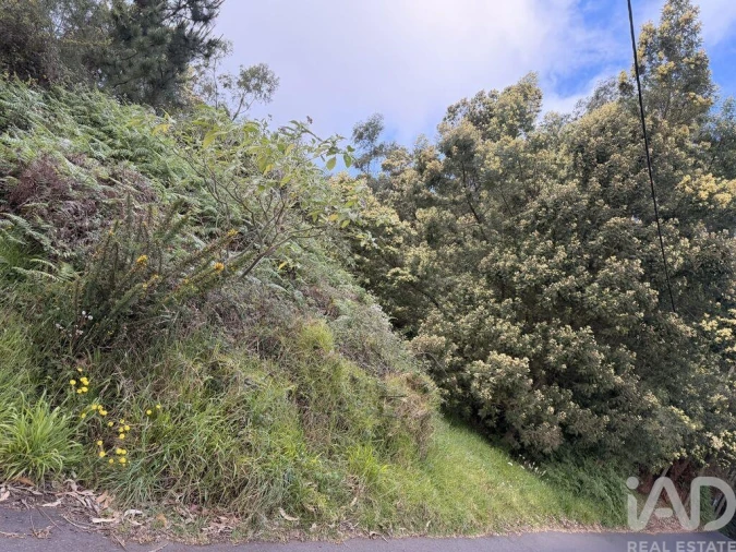 Terreno para Venda em Santa Cruz Foto 2