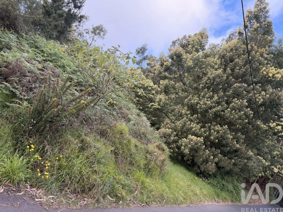 Terreno para Venda em Santa Cruz Foto 2