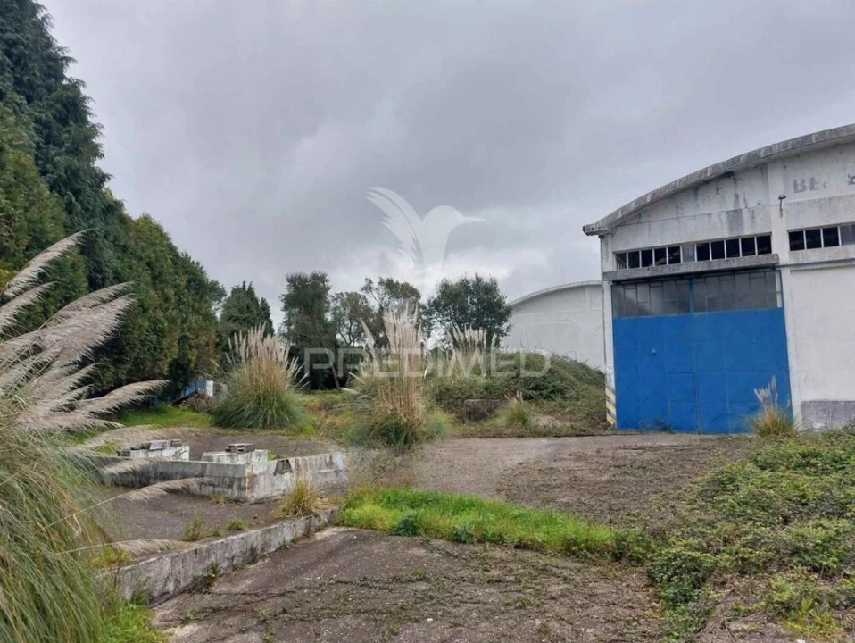 Armazém para Venda em Santa Maria de Lamas Foto 2