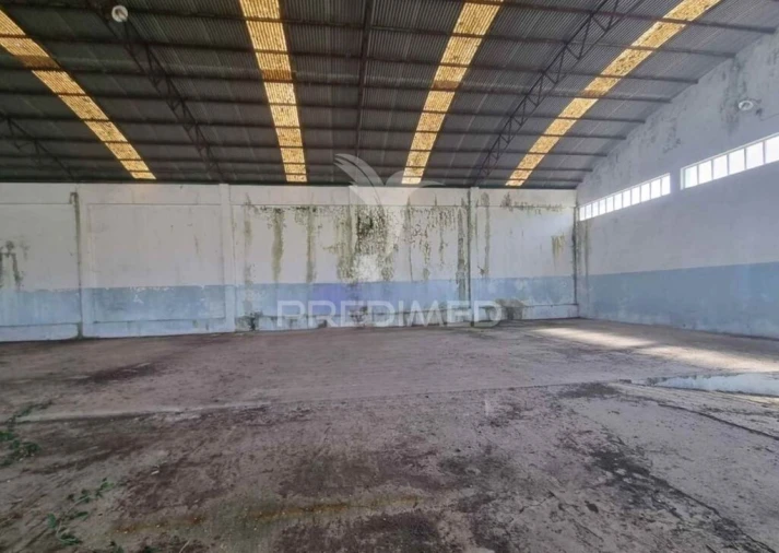 Armazém para Venda em Santa Maria de Lamas Foto 7
