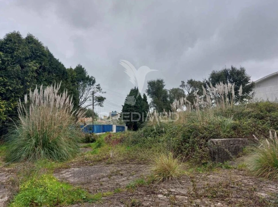Armazém para Venda em Santa Maria de Lamas Foto 6