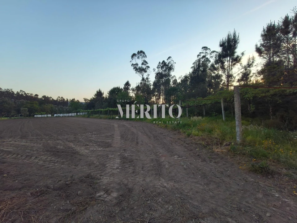 Terreno para Venda em Cossourado Foto 14