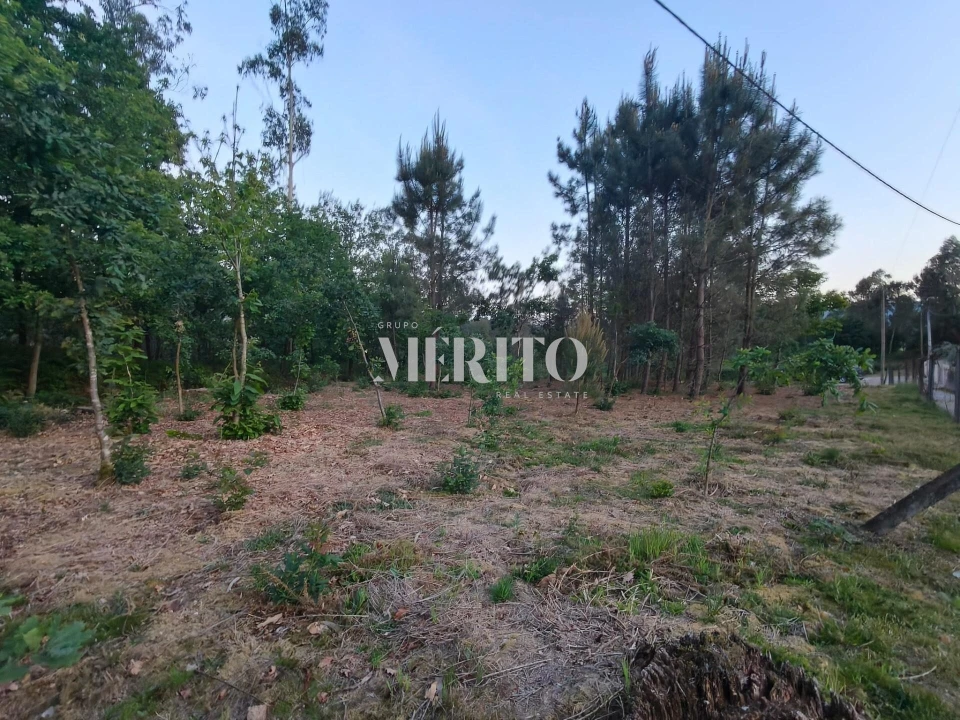 Terreno para Venda em Cossourado Foto 7