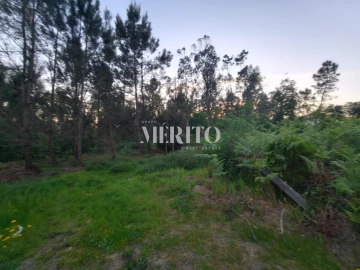 Terreno para Venda em Cossourado