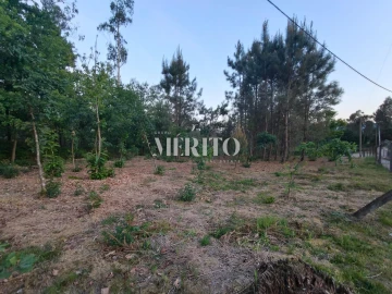 Terreno para Venda em Cossourado