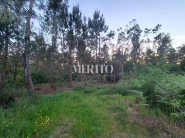 Terreno para Venda em Cossourado