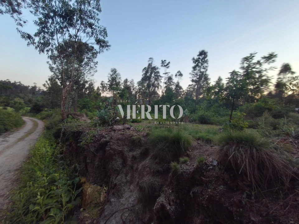 Terreno para Venda em Cossourado Foto 11