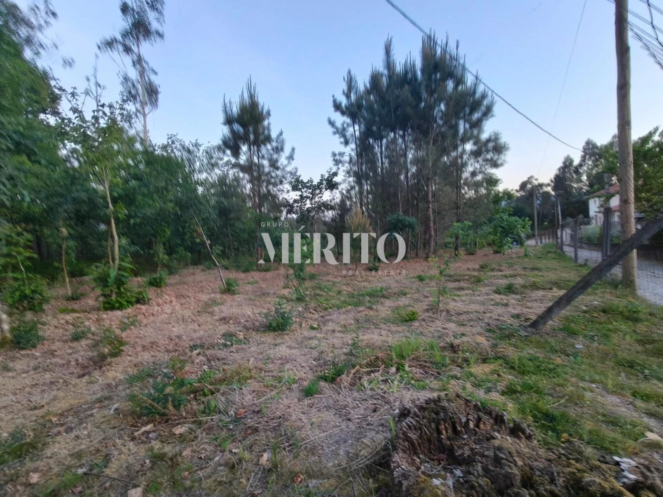 Terreno para Venda em Cossourado Foto 5