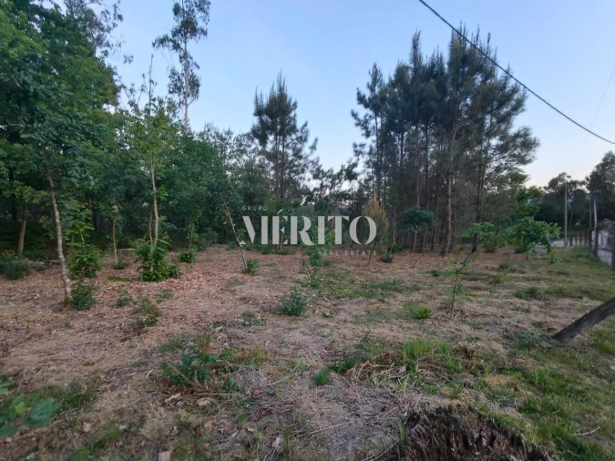 Terreno para Venda em Cossourado Foto 7