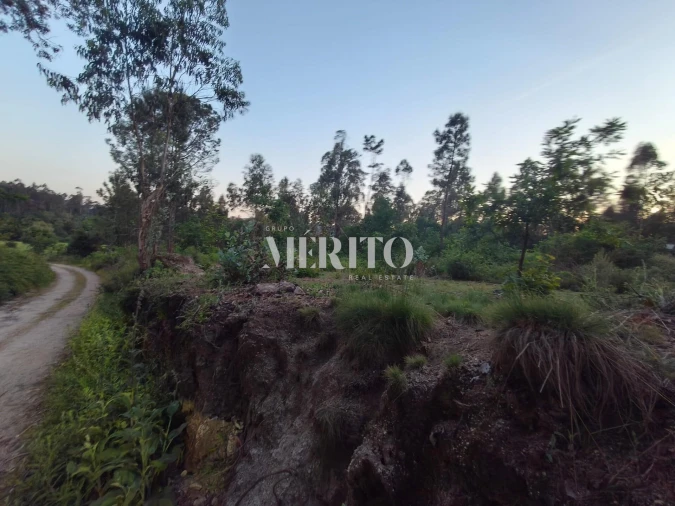 Terreno para Venda em Cossourado Foto 11