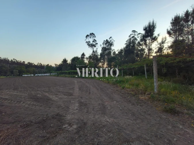 Terreno para Venda em Cossourado Foto 16