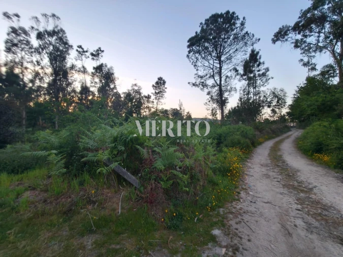 Terreno para Venda em Cossourado Foto 17