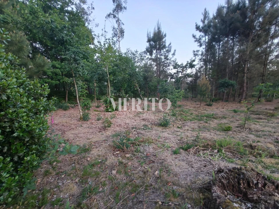 Terreno para Venda em Cossourado Foto 10