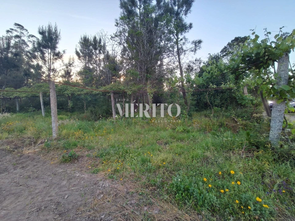 Terreno para Venda em Cossourado Foto 15