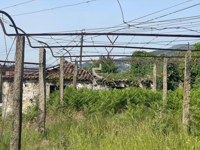 Moradia T2 para Venda em Souto e Tabaçô Foto 8