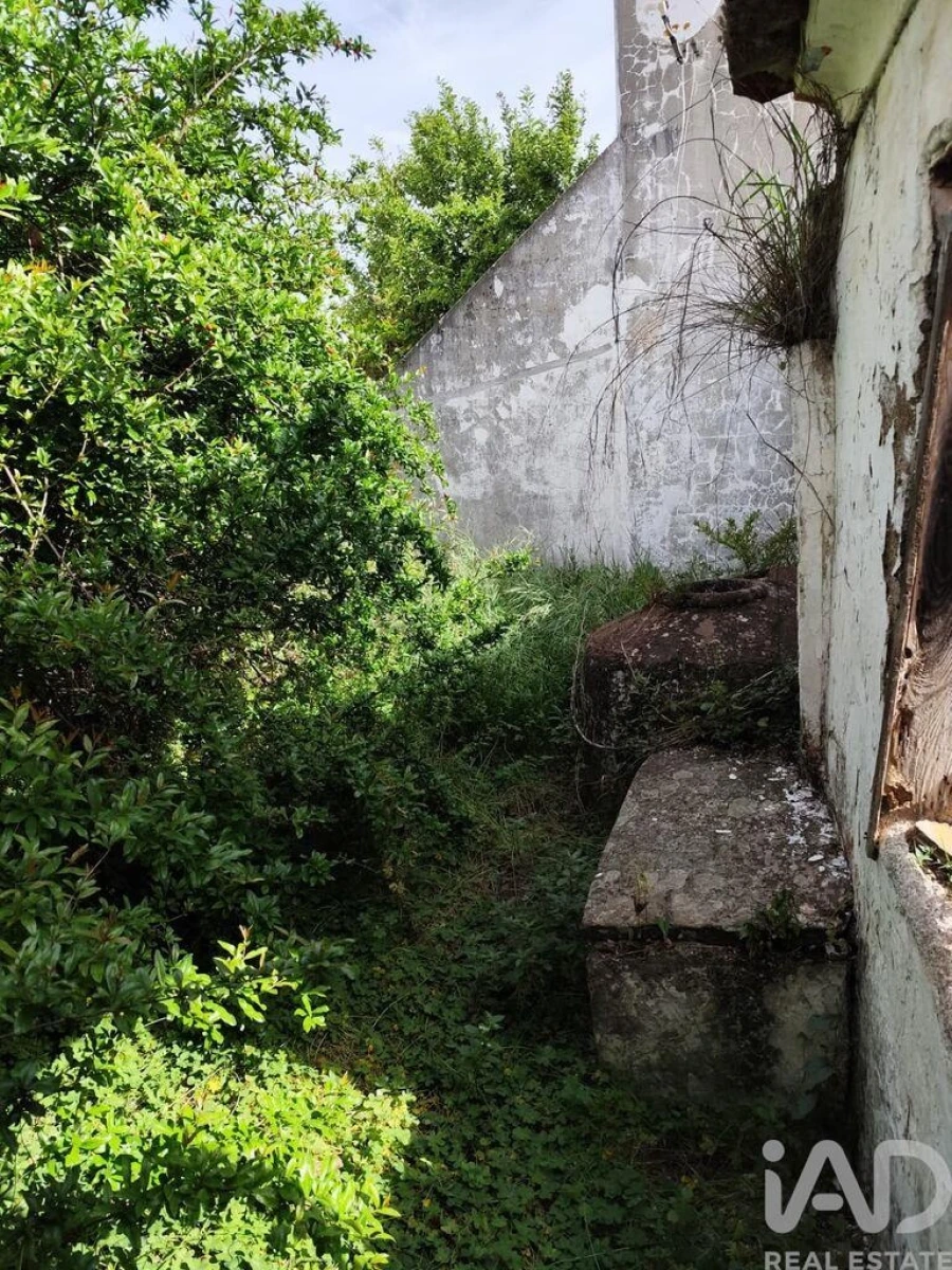 Prédio para Venda em Sousel Foto 5