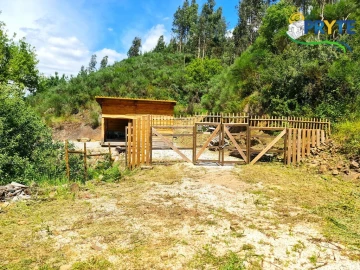 Terreno para Venda em Castelo