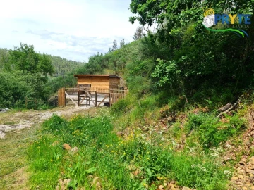 Terreno para Venda em Castelo