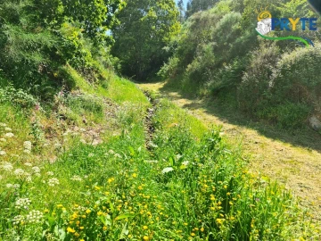Terreno para Venda em Castelo