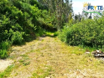 Terreno para Venda em Castelo