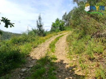 Terreno para Venda em Castelo