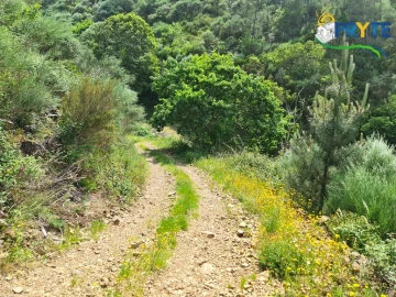 Terreno para Venda em Castelo