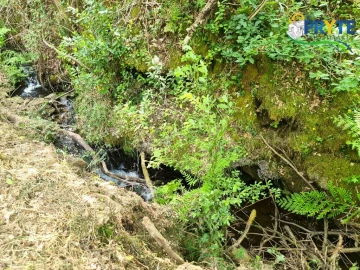 Terreno para Venda em Castelo