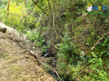 Terreno para Venda em Castelo