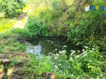 Terreno para Venda em Castelo