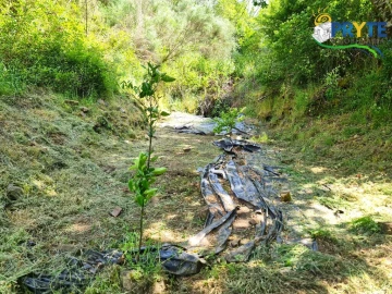 Terreno para Venda em Castelo
